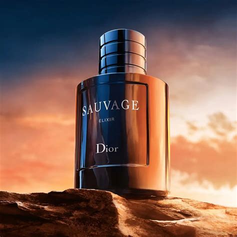 цена sauvage dior|Dior Sauvage best price.